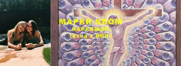 ПСИЛОЦИБИНОВЫЕ ГРИБЫ Алексин