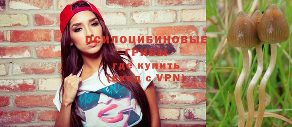 ПСИЛОЦИБИНОВЫЕ ГРИБЫ Алексин