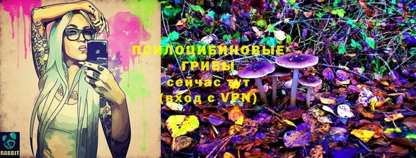 твердый Алексеевка