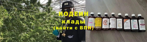 эйфоретик Алзамай